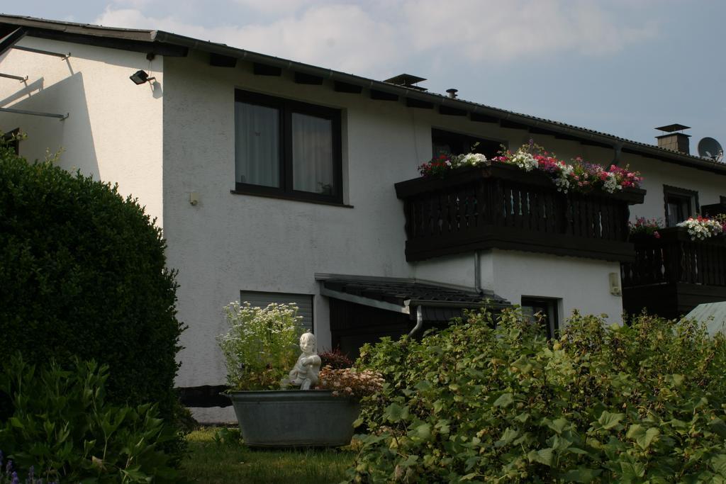 Pension Haus Liesertal Üdersdorf Esterno foto